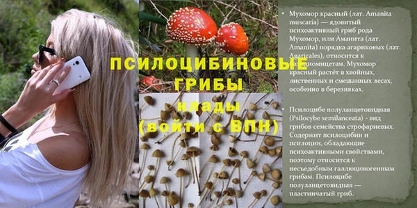 дмт Баксан