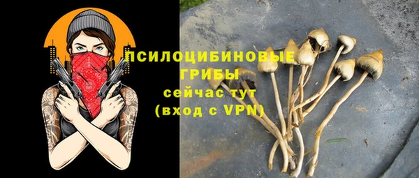 дмт Баксан